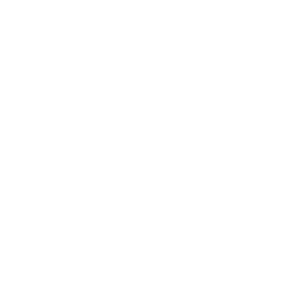 Icono obra